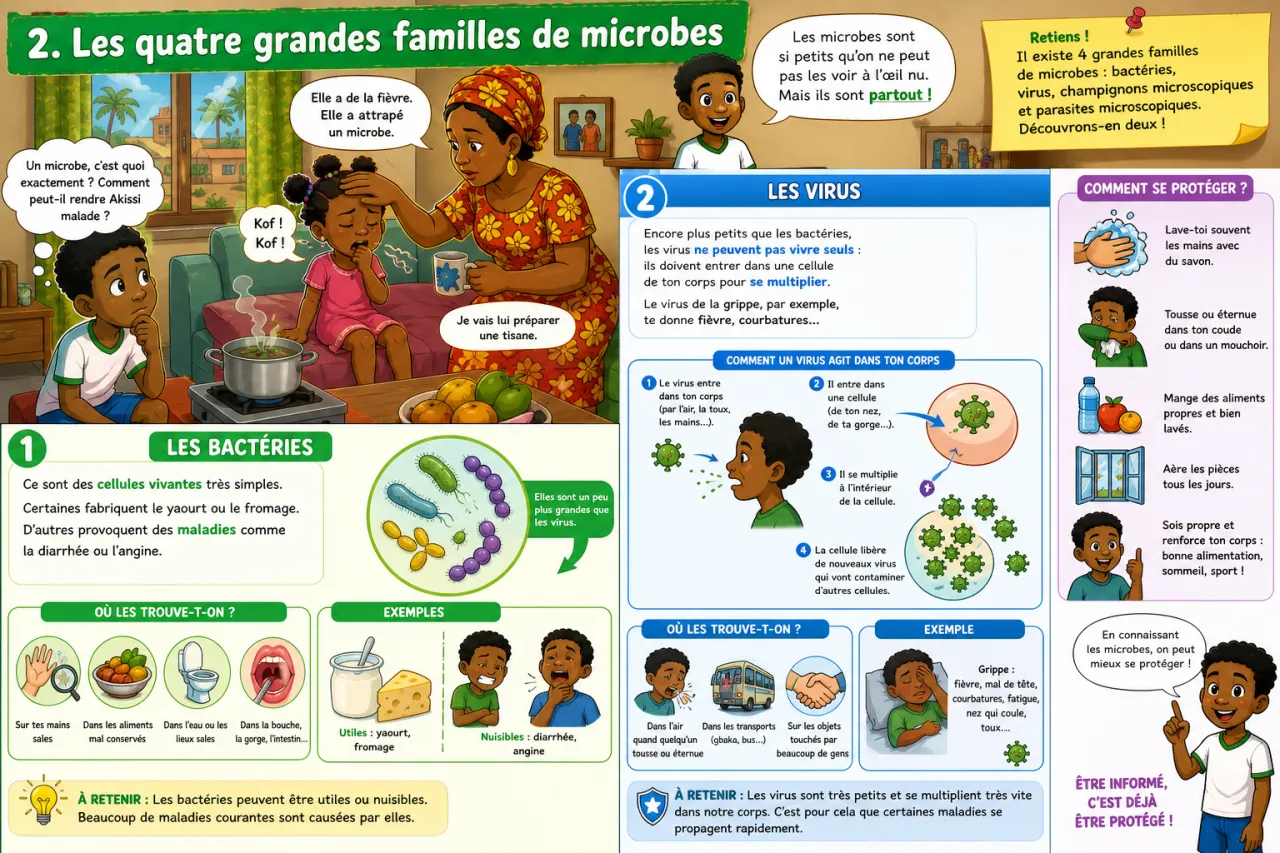 Microbes et maladies — illustration