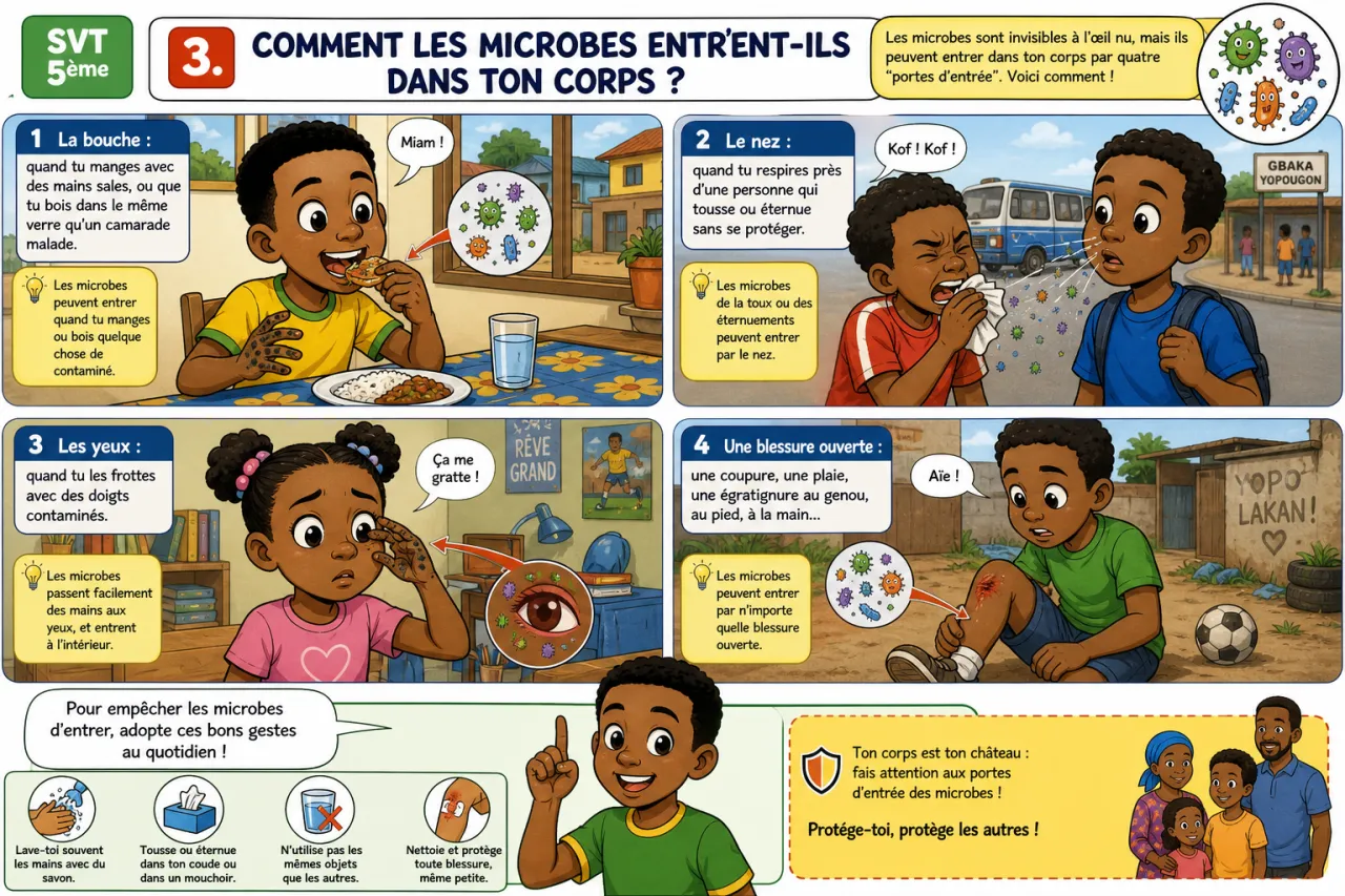 Microbes et maladies — illustration