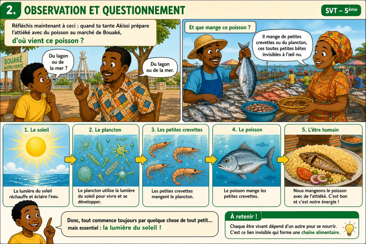 Chaînes alimentaires — illustration
