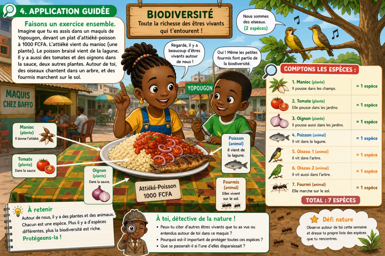 Biodiversité — illustration