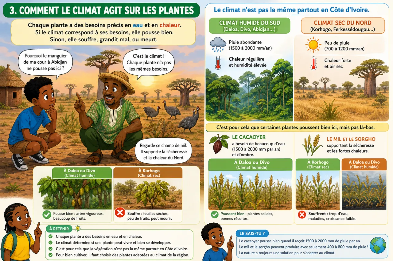 Climat et êtres vivants — illustration