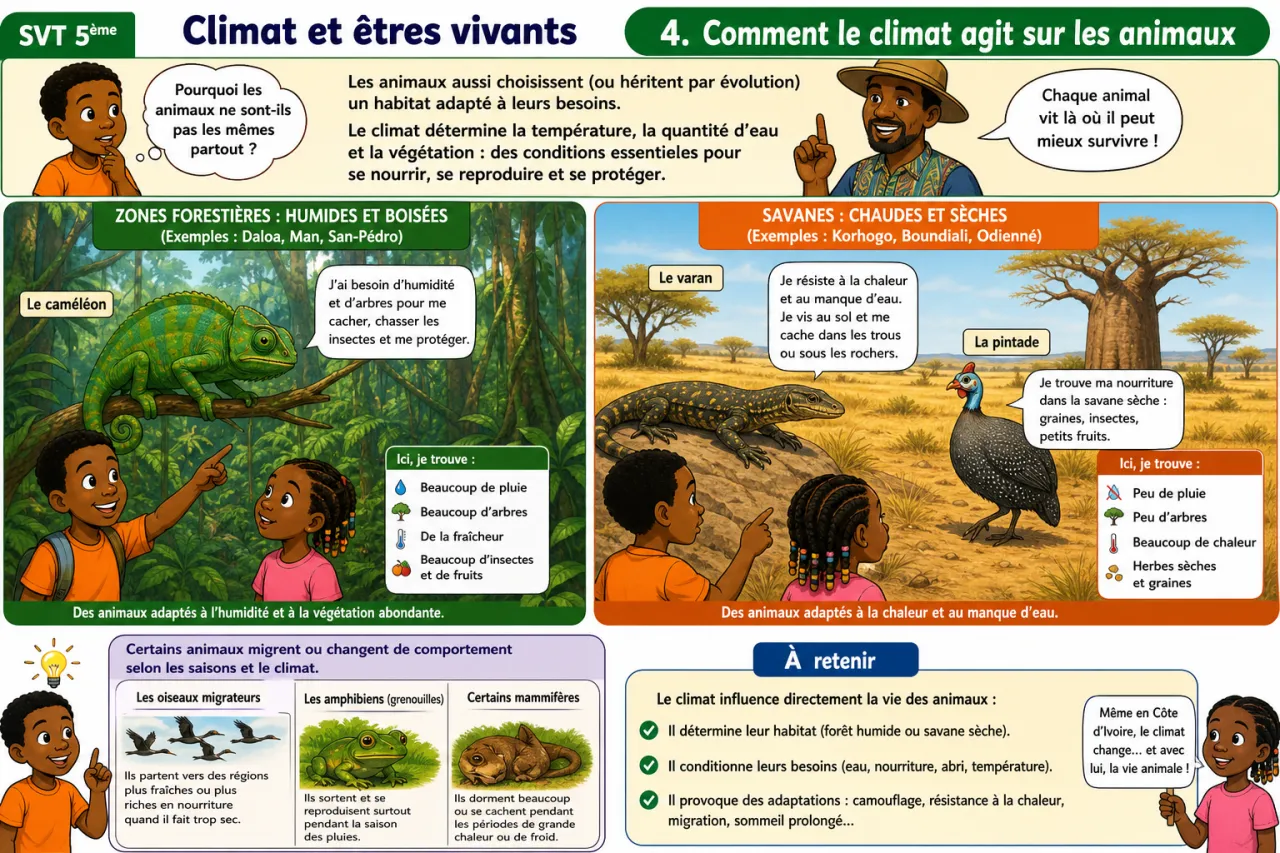 Climat et êtres vivants — illustration