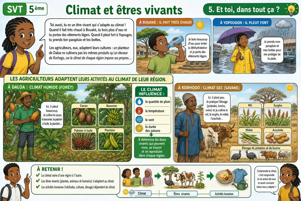 Climat et êtres vivants — illustration