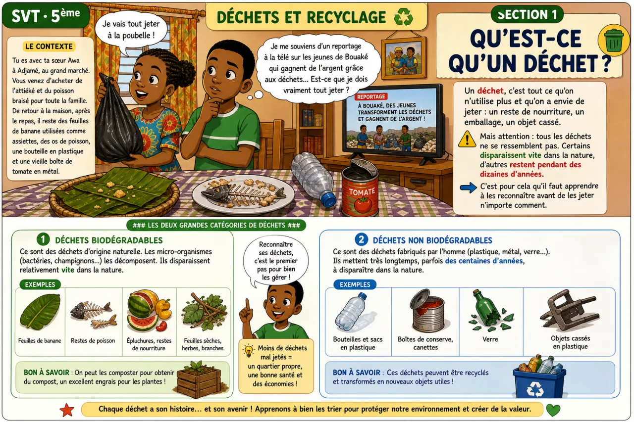 Déchets et recyclage — illustration