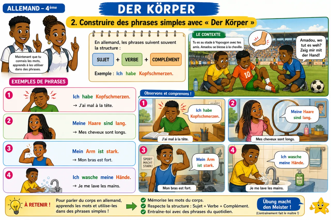 Der Körper — illustration