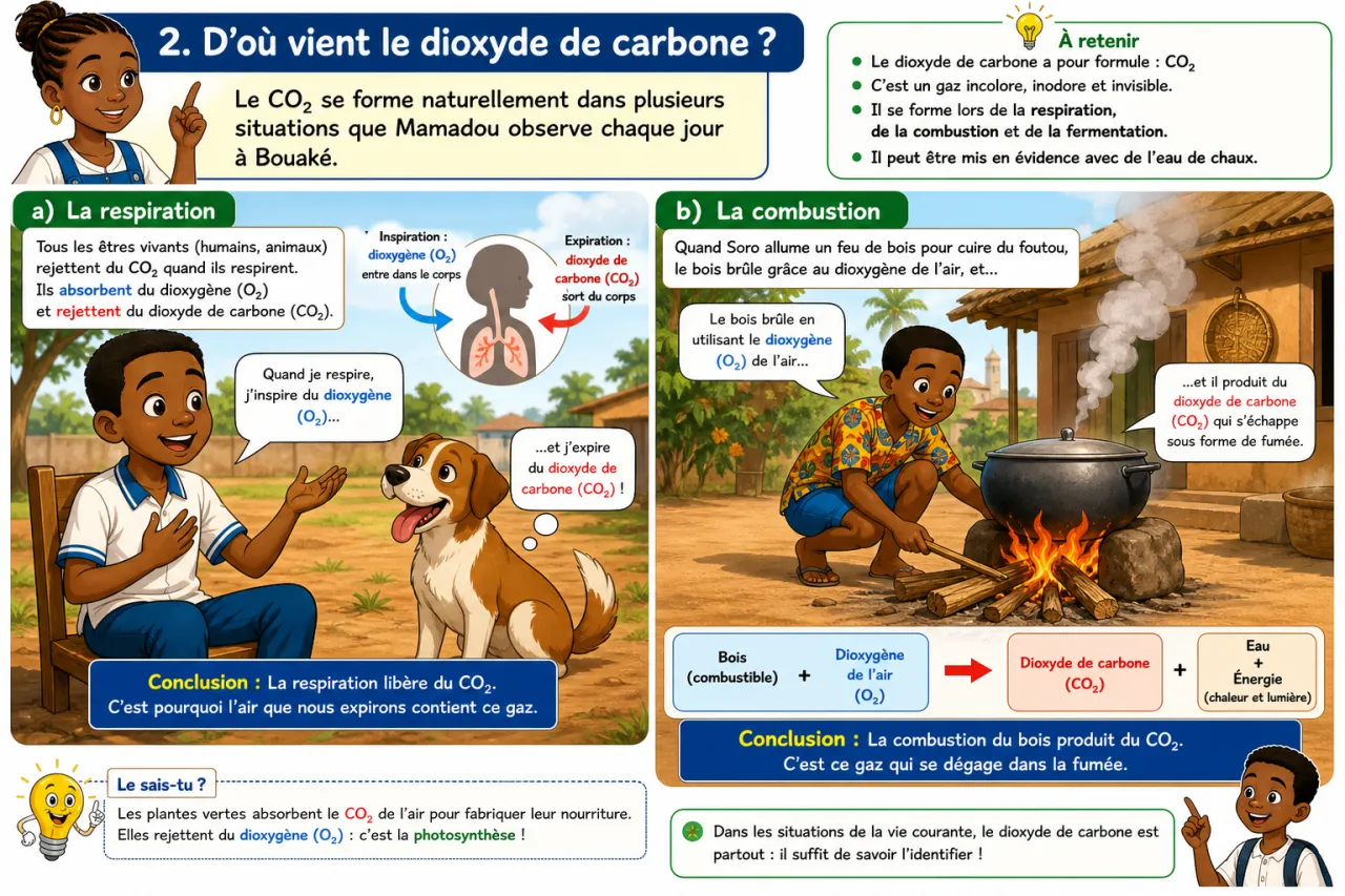 Dioxyde de carbone — illustration