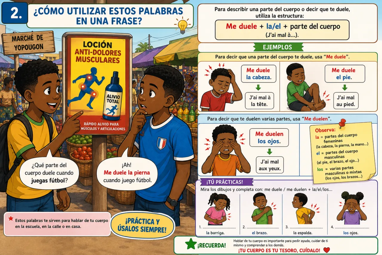 El cuerpo humano — illustration