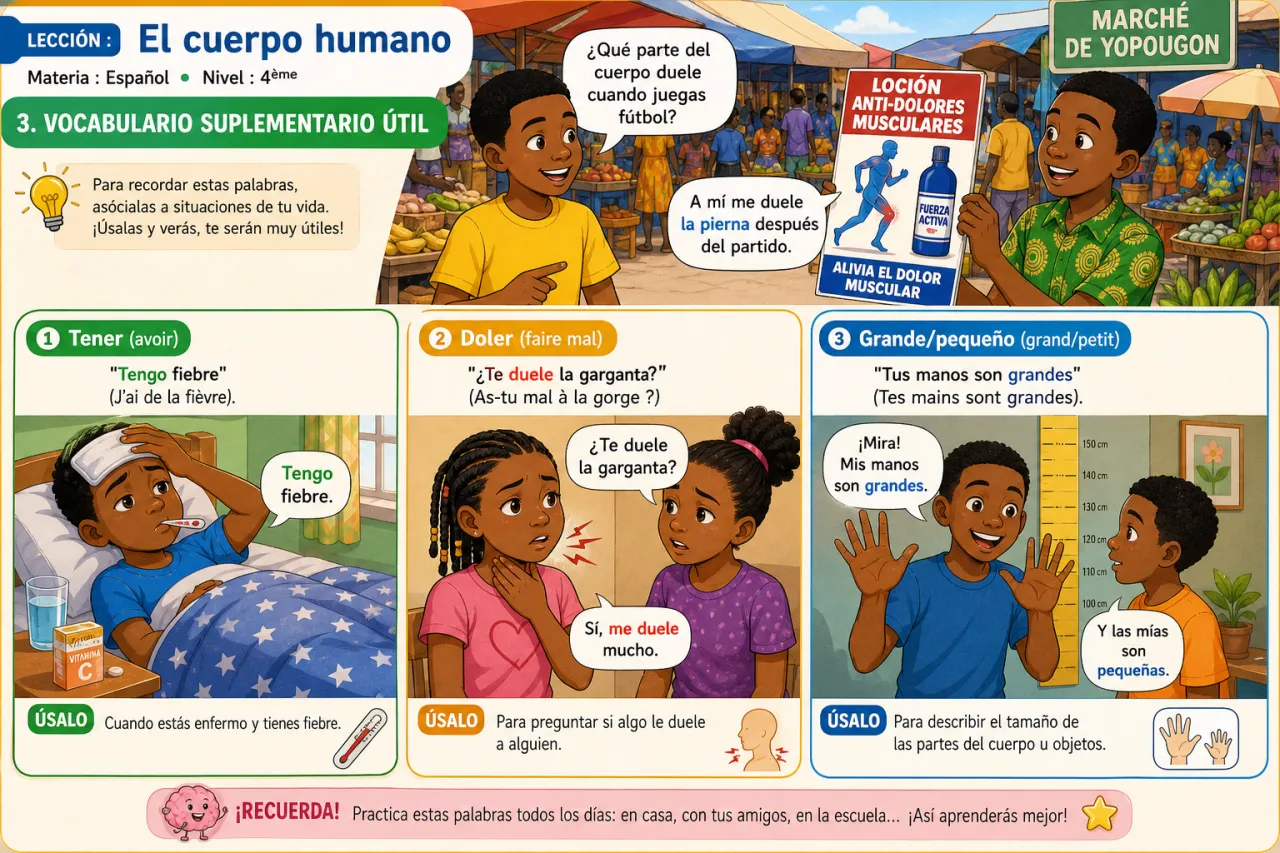 El cuerpo humano — illustration