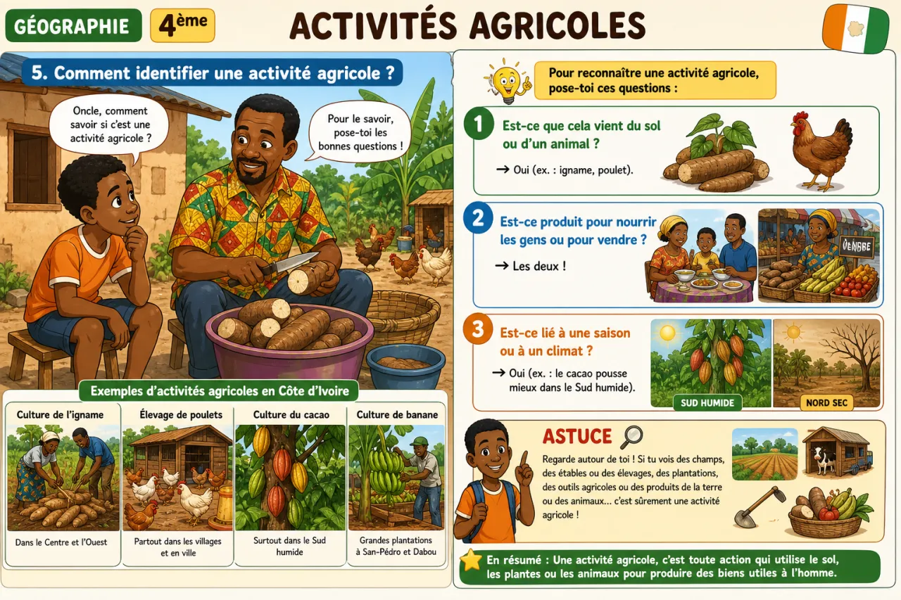 Activités agricoles — illustration