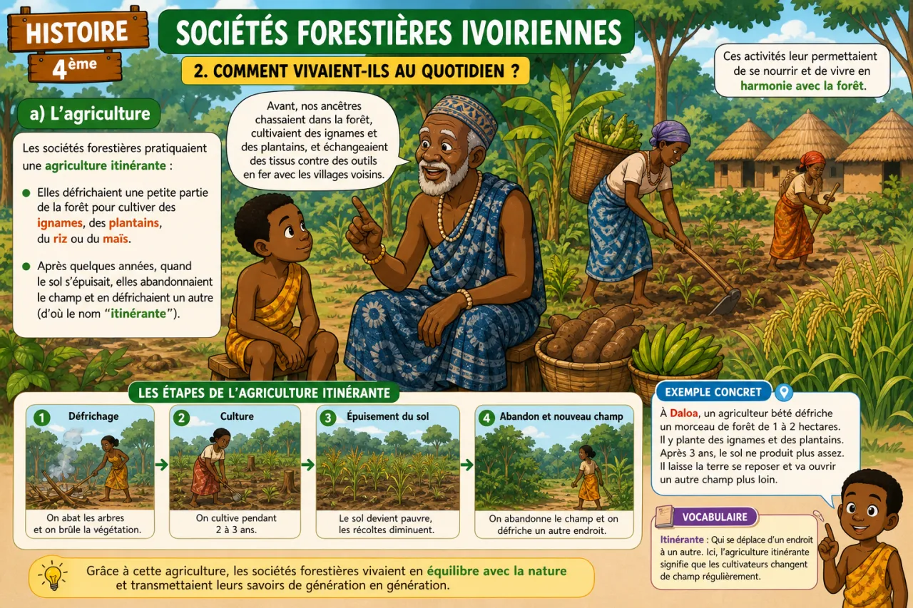 Sociétés forestières ivoiriennes — illustration