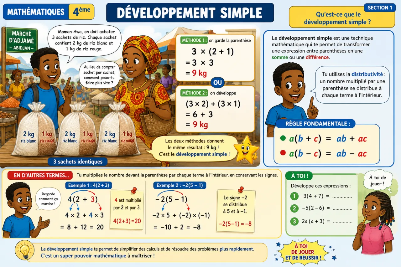 Développement simple — illustration