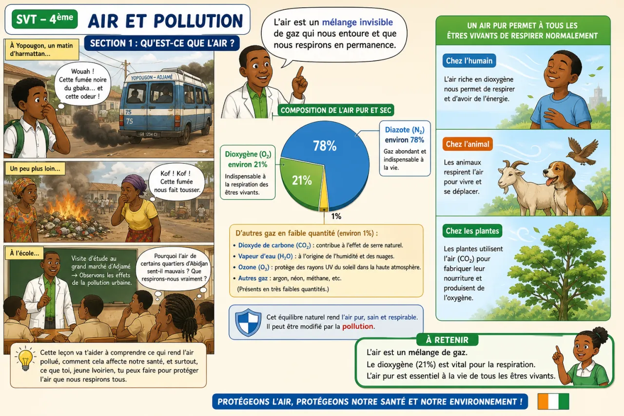 Air et pollution — illustration