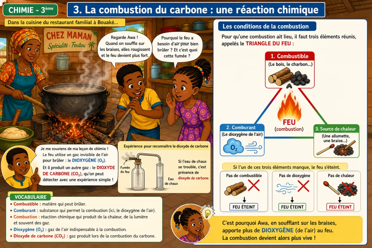 Dioxygène et dioxyde de carbone — illustration